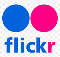 Flickr Video Downloader Free Online